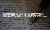 黑芝麻是滋补圣药养肝生黑发 如此神奇你确定不吃吗