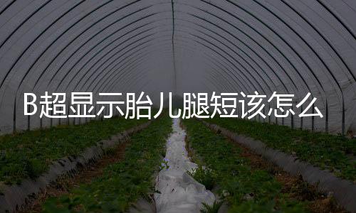 B超显示胎儿腿短该怎么办？